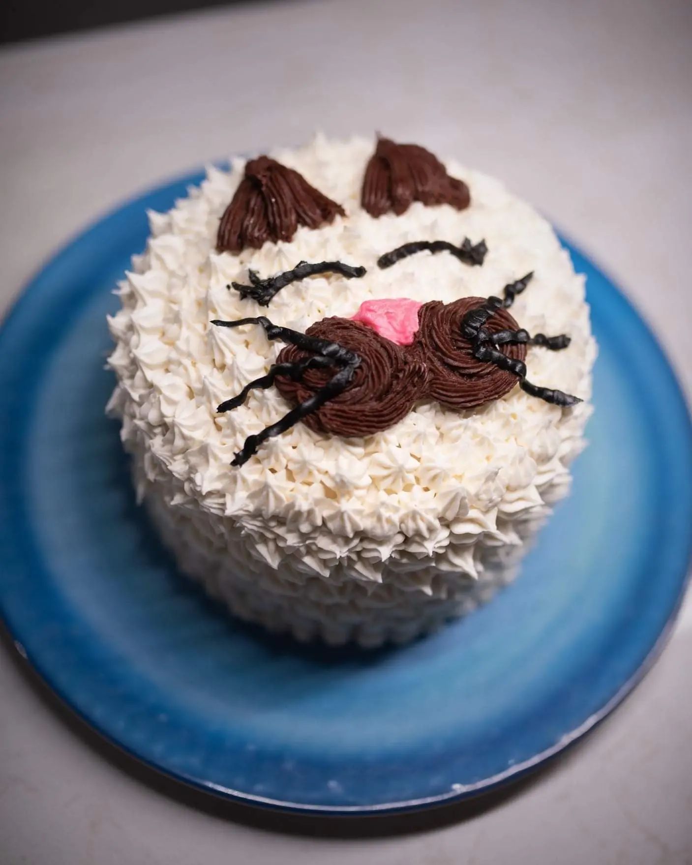 My daughter turned 3 in January and requested a cat cake! It was a funfetti cake with American buttercream. She absolutely loved it 🥰
Photography: 📸 @rosshwphoto
#vegetarian #vegetarianfood #vegetarianfoodshare #delicious #food #foodblogger #foodporn #foodstagram #hungry #yummy #whatvegetarianseat #vegetarianfoodporn #cake #chocolate #funfetticake #funfetti #americanbuttercream #buttercream #frosting #chocolatefrosting #cakedecorating #birthday #birthdaycake #catcake #scratchbaking #homemade #homemadefood
